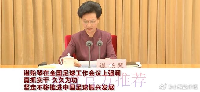 谌贻琴在全国足球工作会议上强调 真抓实干 久久为功 坚定不移推进中国足球振